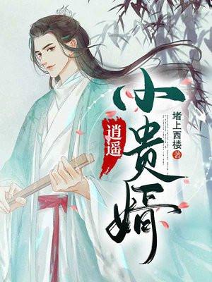 逍遥小贵婿 逍遥小贵婿
