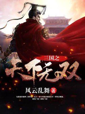三国之天下无双 三国之天下无双