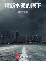 钢筋水泥的底下 钢筋水泥的底下