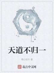 天道不归一 天道不归一