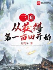 冠军规律攻略