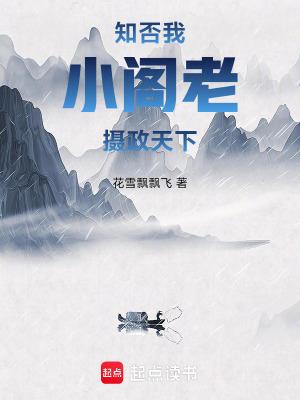 知否:我,小阁老,摄政天下 知否:我,小阁老,摄政天下