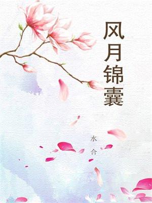 风月锦囊 风月锦囊