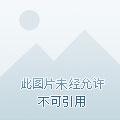 诸神黄昏,我的天赋无上限林天浩周小胖 诸神黄昏,我的天赋无上限林天浩周小胖