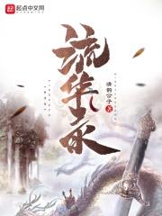 流华录 流华录