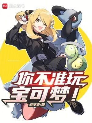 你不准玩宝可梦! 你不准玩宝可梦!