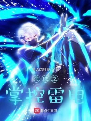 海贼之掌控雷电 海贼之掌控雷电