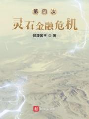 第四次灵石金融危机 第四次灵石金融危机