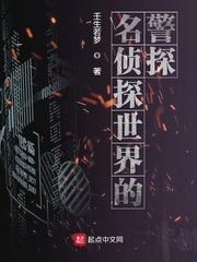 名侦探世界的警探 名侦探世界的警探