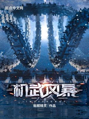 机武风暴 机武风暴