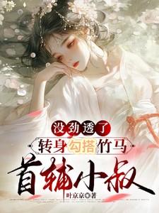 新魅魔王的契约者无休版 新魅魔王的契约者无休版