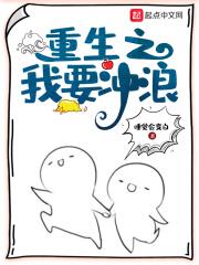 重生之我要冲浪 重生之我要冲浪
