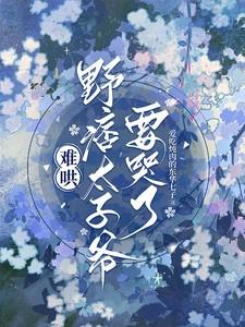 难哄,野痞太子爷要哭了 难哄,野痞太子爷要哭了