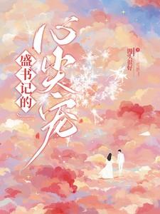 盛书记的心尖宠 盛书记的心尖宠
