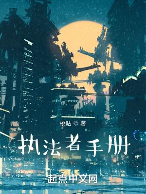 执法者手册 执法者手册
