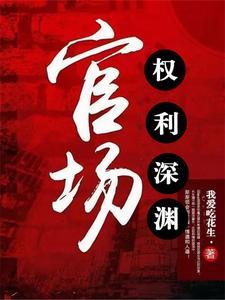 官场:权利深渊 官场:权利深渊