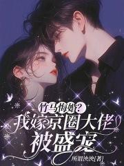 从唐人街开始起点中文网 从唐人街开始起点中文网