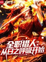 全职猎人:从日之呼吸开始 全职猎人:从日之呼吸开始