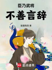 大宋悍臣 大宋悍臣