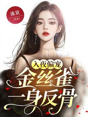 穿书年代文的晋江文