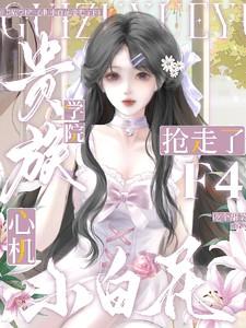 贵族学院:心机小白花抢走了F4 贵族学院:心机小白花抢走了F4