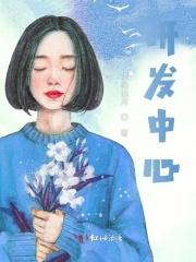 请别叫我昭烈帝