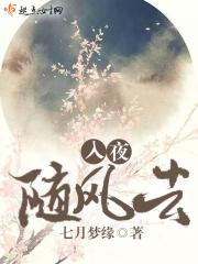 入夜随风去 入夜随风去