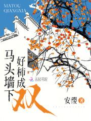 马头墙下好柿成双 马头墙下好柿成双