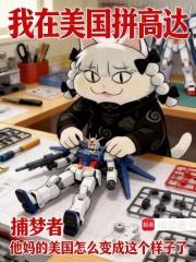 我在美国拼高达 我在美国拼高达