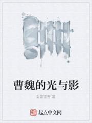 曹魏的光与影 曹魏的光与影