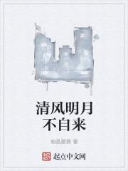 崽崽里的心愿单怎么弄 崽崽里的心愿单怎么弄