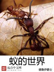 和离后全京城大佬想娶我 和离后全京城大佬想娶我