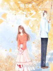 木头公主的故事 木头公主的故事