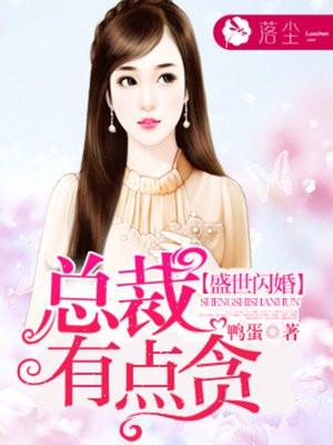 盛世闪婚:总裁有点贪 盛世闪婚:总裁有点贪