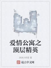 爱情公寓之顶层精英 爱情公寓之顶层精英