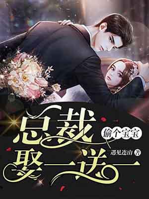 偷个宝宝:总裁娶一送一 偷个宝宝:总裁娶一送一