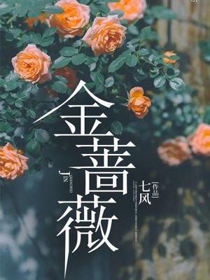 然后变成魔法少女 作者弧盐