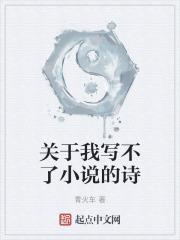 关于我写不了小说的诗 关于我写不了小说的诗