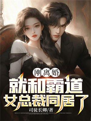 刚离婚,就和霸道女总裁同居了 刚离婚,就和霸道女总裁同居了