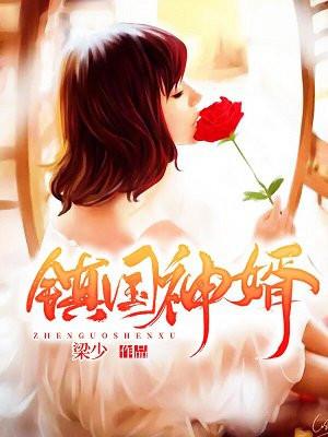镇国神婿 镇国神婿