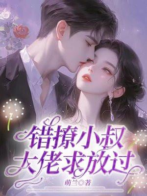 错撩小叔:大佬求放过 错撩小叔:大佬求放过
