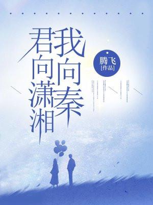 君向潇湘我向秦 君向潇湘我向秦