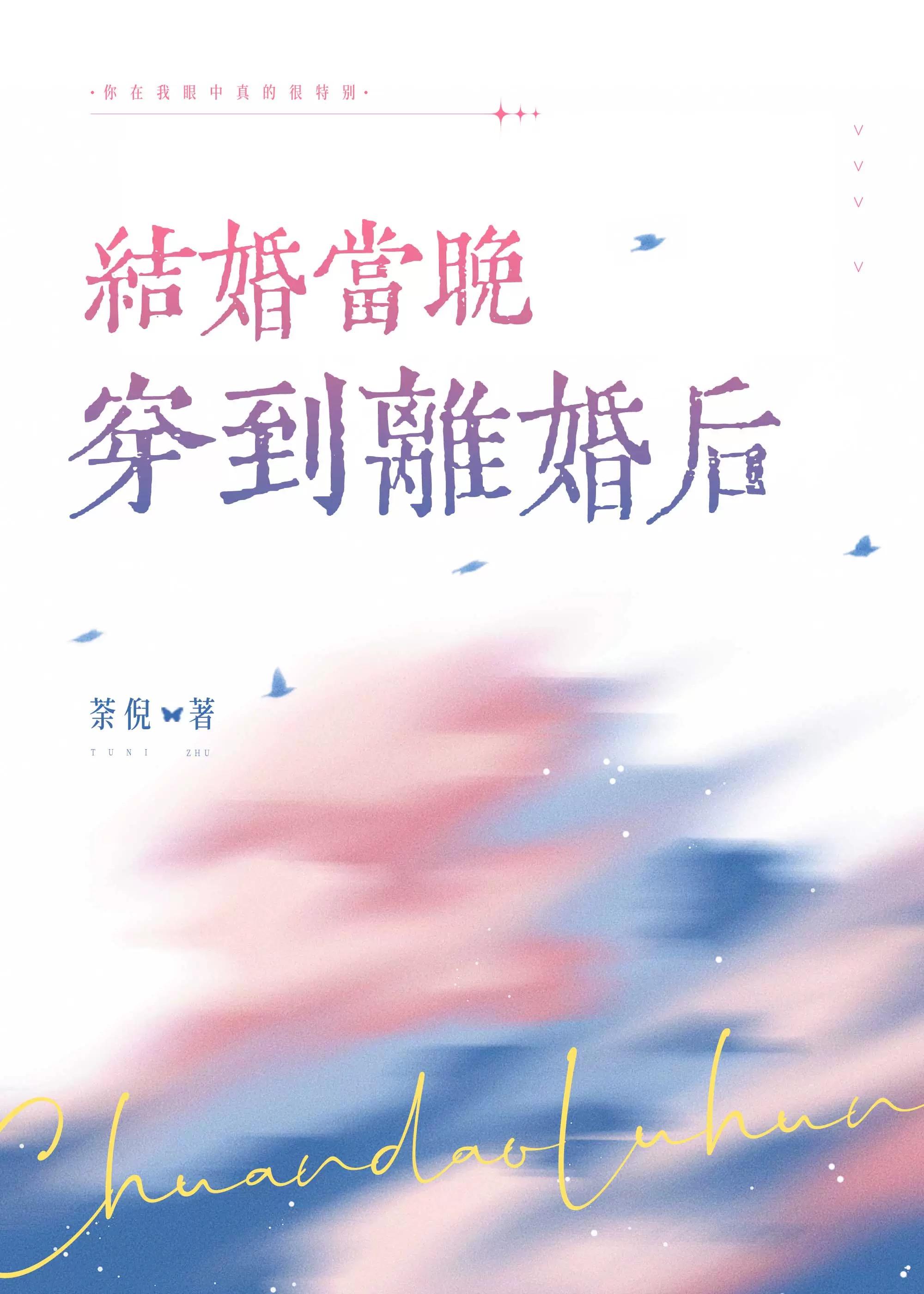 结婚当晚穿到离婚后 结婚当晚穿到离婚后