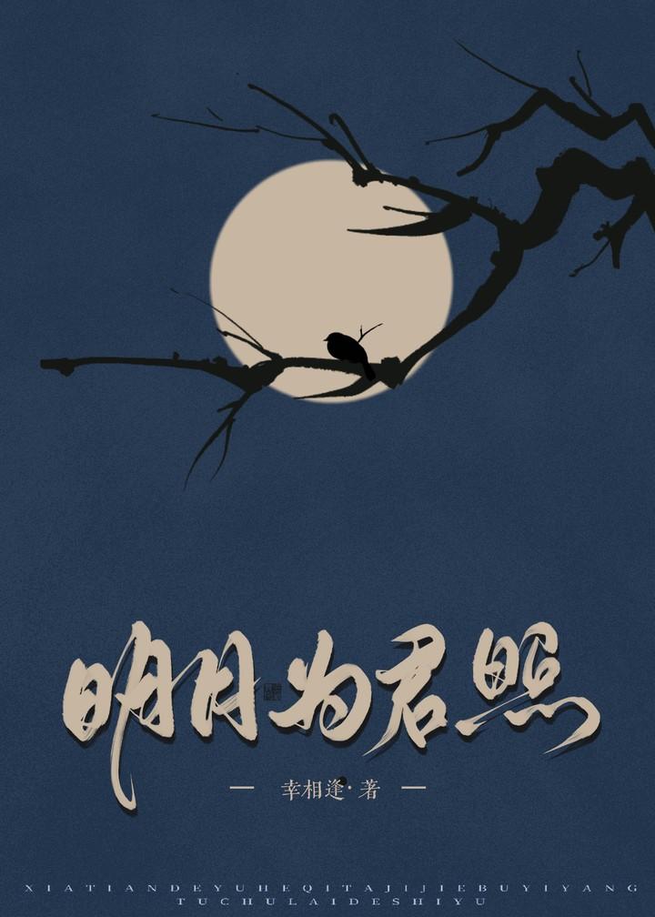 明月为君照 明月为君照