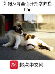 诸天从唐探二开始TXT 诸天从唐探二开始TXT