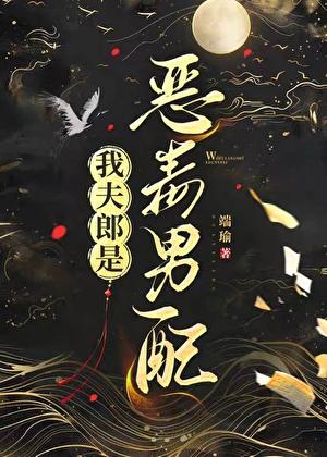 我夫郎是恶毒男配 我夫郎是恶毒男配
