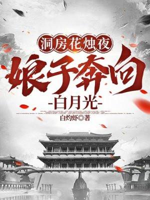 洞房花烛夜,娘子奔向白月光 洞房花烛夜,娘子奔向白月光