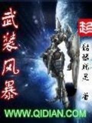 武装风暴 武装风暴